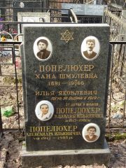 Попелюхер Хана Шмулевна, Москва, Востряковское кладбище